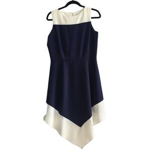 Amelia Colorblock dress size 10